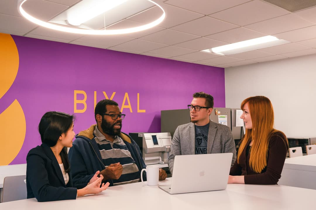 Bixal company profile