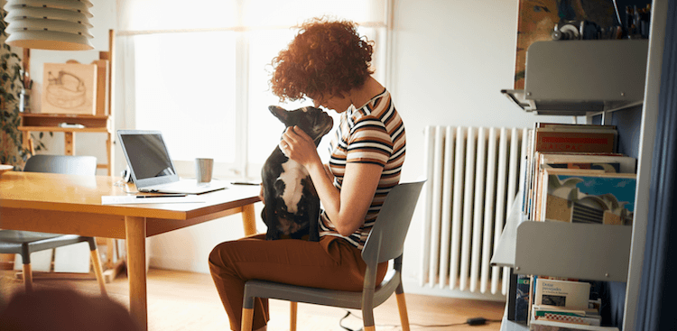 person sitting at a table at home with a laptop playing with a dog